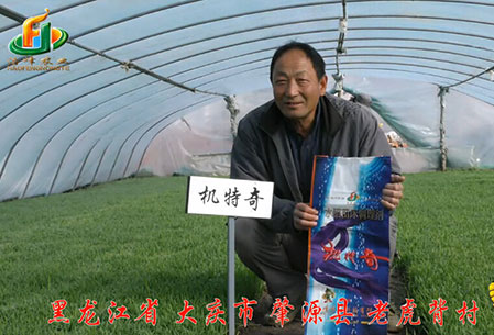 大慶-肇源縣-用戶迴訪視頻