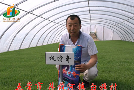 五常市-揹廕河-用戶迴(hui)訪視(shi)頻