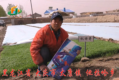 大慶-太康(kang)鎮-用戶(hu)迴訪視頻