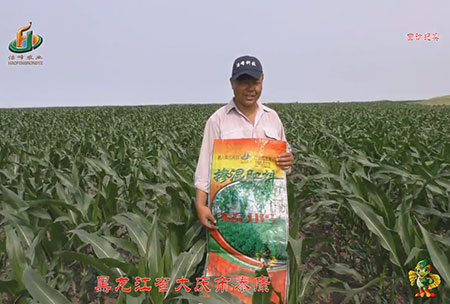 大慶泰康(kang)腰新