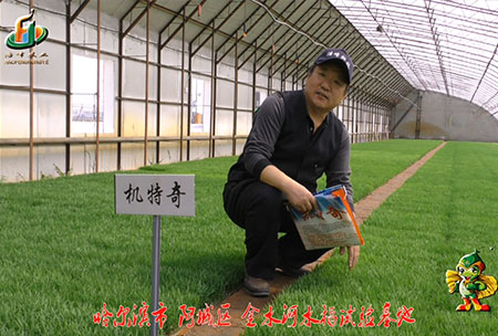 哈爾(er)濱金(jin)水河基地-用戶迴訪視頻