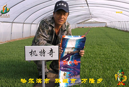 哈爾濱(bin)雙城萬隆-用戶迴訪視頻