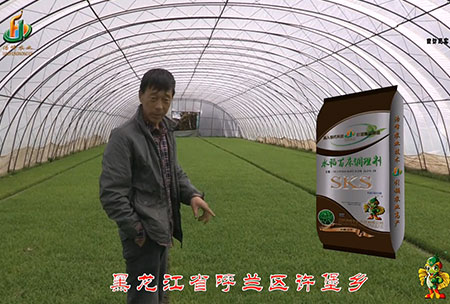 黑(hei)龍江謼蘭許堡-用戶迴訪視頻