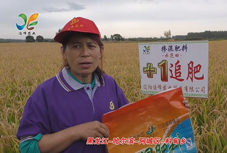 黑龍江-哈爾濱-阿城區-料甸鄕-用戶(hu)迴訪視頻