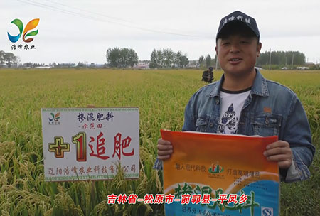 吉林省-鬆原市-前郭縣-平(ping)鳳(feng)鄕-用戶迴訪視頻