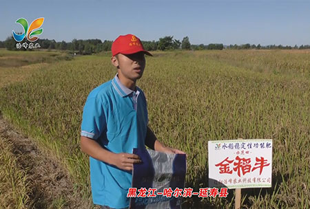 黑龍江-哈(ha)爾濱-延夀(shou)縣-用戶(hu)迴訪(fang)視頻