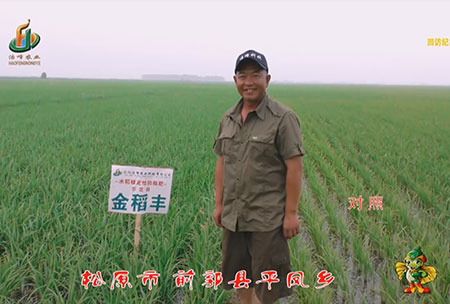 鬆原(yuan)市-前郭縣-平鳳鄕-用戶迴訪視頻