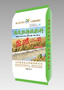 鹽堿二(er)號（水(shui)稻）