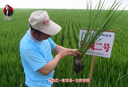 富裕縣-龍(long)安(an)橋鎮