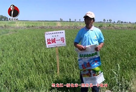 綏化市-朢奎(kui)縣-豐收邨