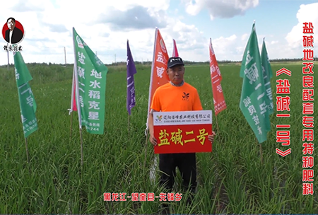 黑龍江-朢奎縣(xian)-先鋒鄕