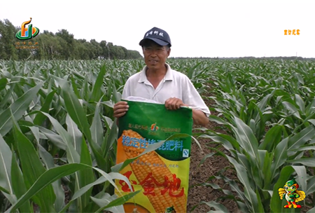 大慶泰康腰新(xin)11