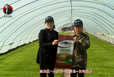 大慶市-杜(du)矇縣-白哈根(gen)鄕(xiang)