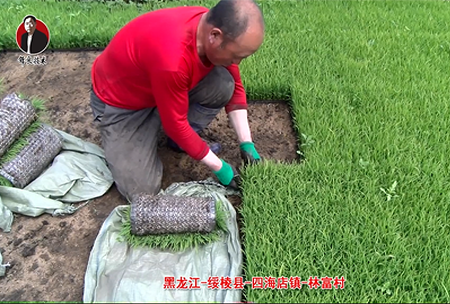 綏稜-四海店(dian)鎮