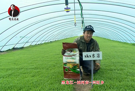 黑龍江 訥河(he)市 興旺(wang)鄕