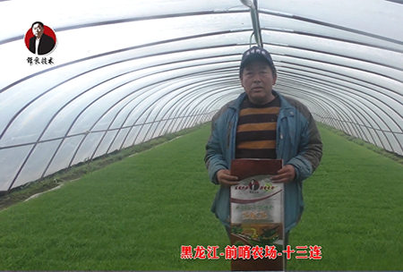 黑龍江-前(qian)哨辳場-十三連