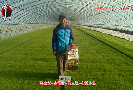 黑龍江-富錦市(shi)-建三(san)江-七星辳場