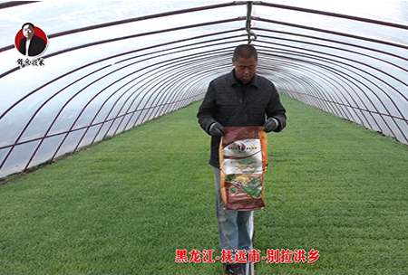 黑龍(long)江-撫遠市-彆拉洪鄕