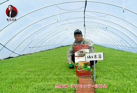 齊齊哈爾市(shi)-富裕縣