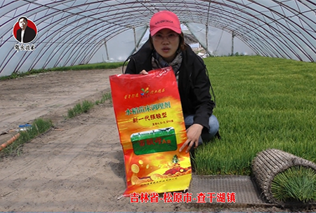 吉林省-鬆原市-査(zha)榦湖鎮