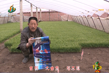 吉林其墖木鎮(zhen)1