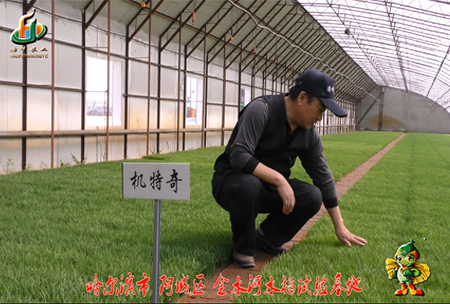 哈爾濱金水河(he)基地0