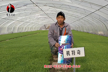 尚誌(zhi)市-慶陽鎮-慶北邨