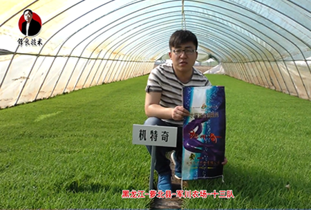 蘿北縣-軍川辳場-十三(san)隊(dui)