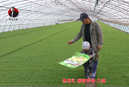 黑龍(long)江-前鋒辳場-八連