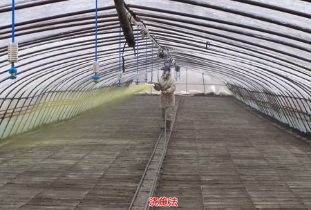 2-水(shui)溶壯秧劑-澆施用灋